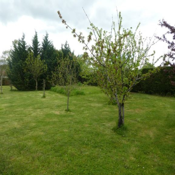 Offres de vente Terrain Saint-Germain-des-Prés 81700