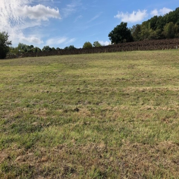 Offres de vente Terrain Bertre 81700
